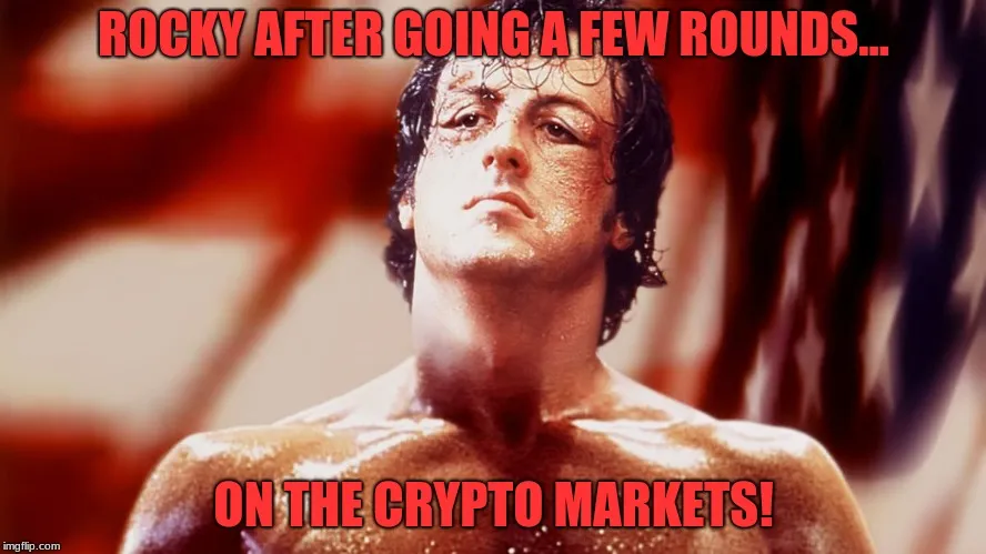 2h66rc.jpg