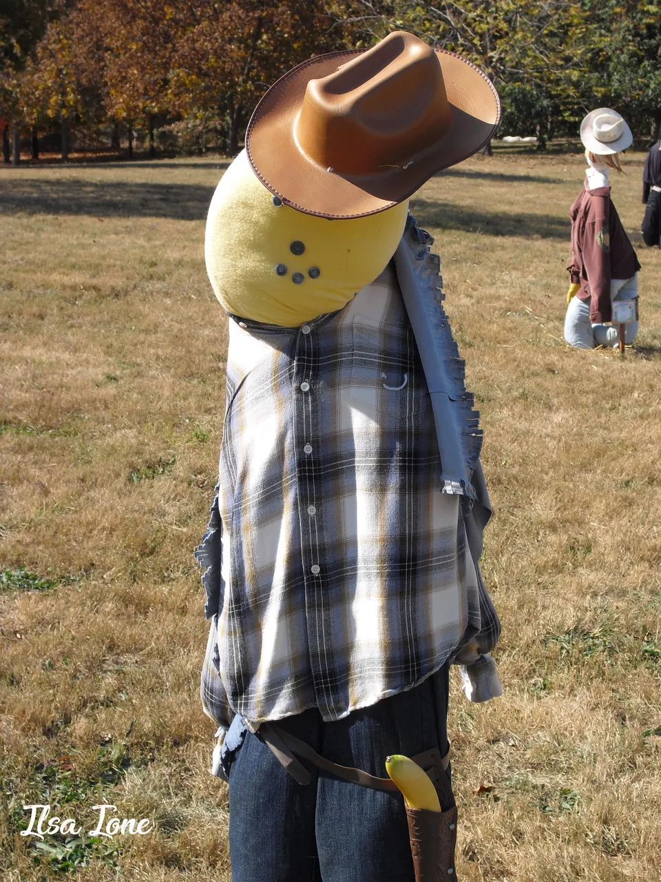 cowboy.jpg