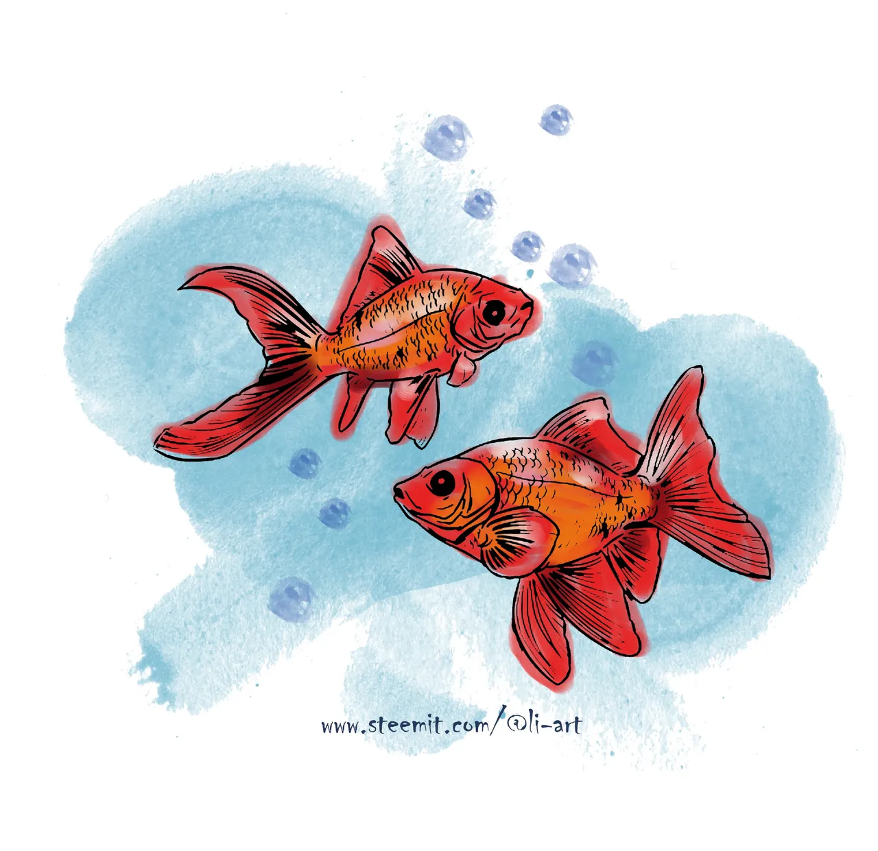 fish12.jpg