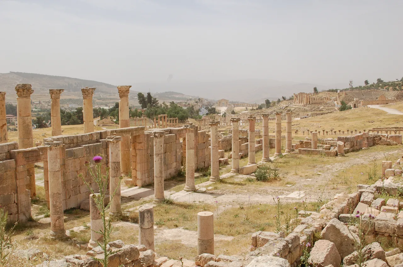 jer207.jpg