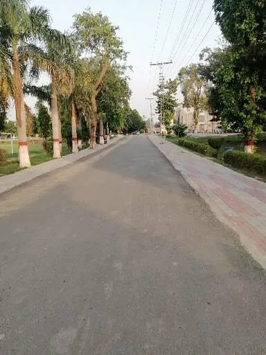 849030.jpg