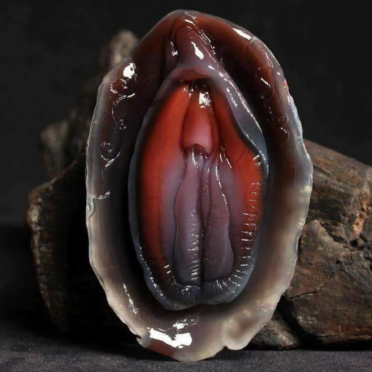 shell2.jpg