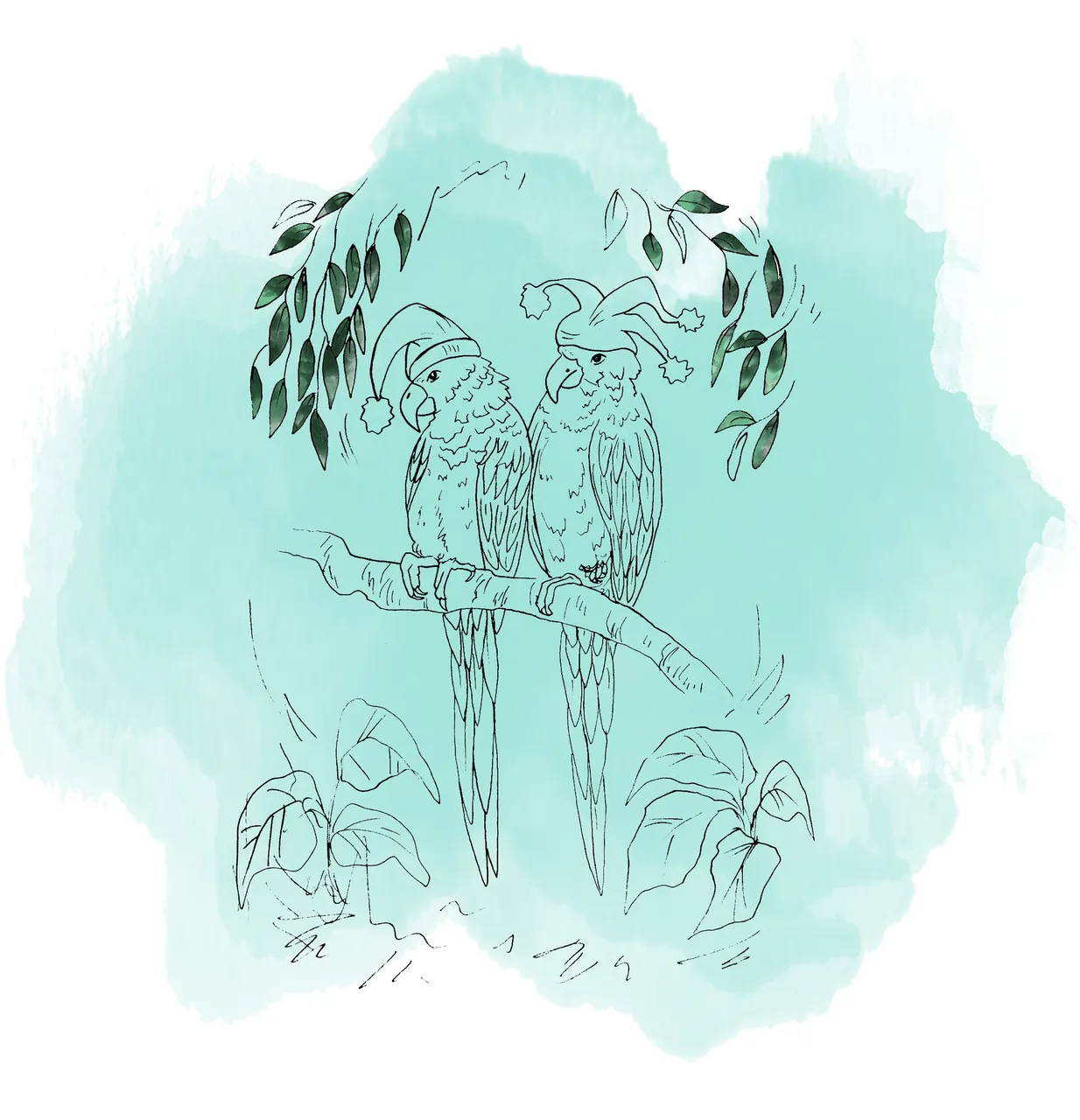 bird12.jpg