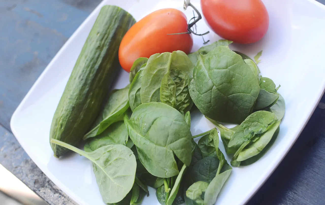 salad6.jpg