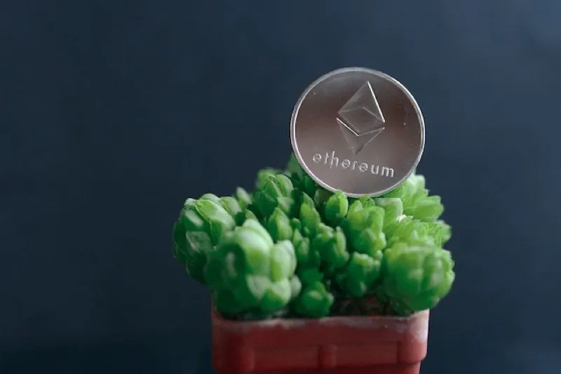 erc202.jpg