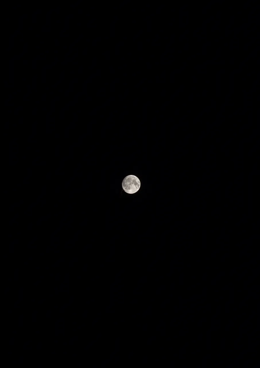 moon11.jpg