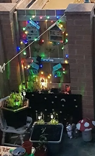 LIGHTS.jpg