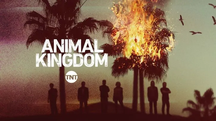 animal.jpg