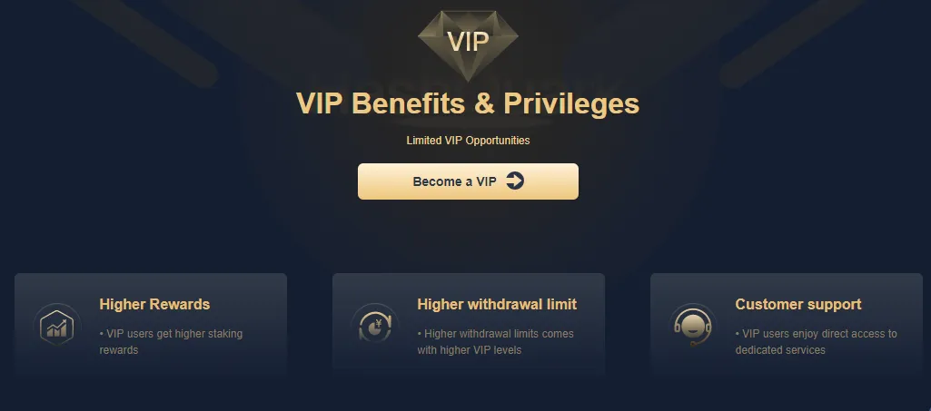 VIP-EN.png