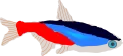 Fische.png