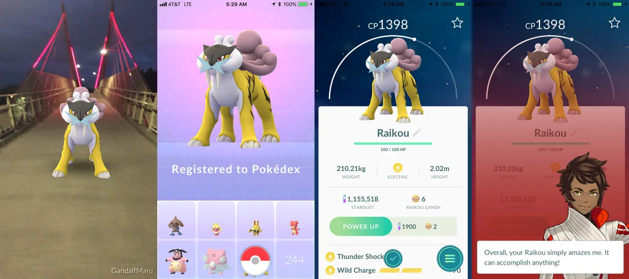 Raikou.jpg