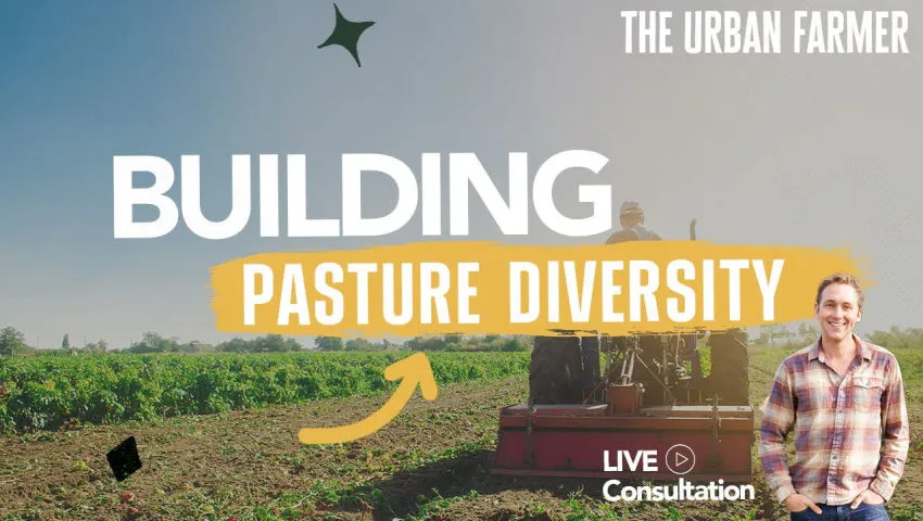3 Ways to Increase Pasture Diversity - LIVE CONSULTATION [ Listen In]