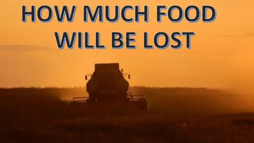 How Much Food Will be Lost Globally Because of Ukraine / Russia Conflict