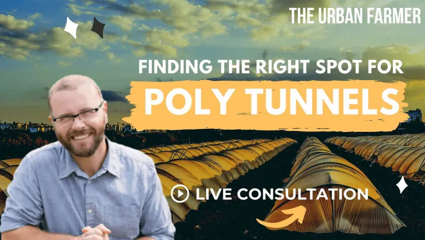 Finding the Right Spot for Poly Tunnels - LIVE CONSULTATION Q&A [ LISTEN IN ]