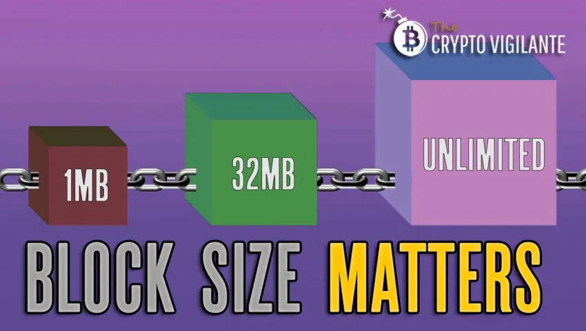 Block Size Debate, Bitcoin, Bitcoin Cash, Bitcoin SV - Miami Crypto Experience