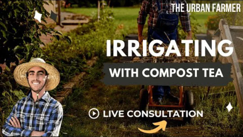 Irrigating with Compost Tea - LIVE CONSULTATION [ LISTEN IN ]