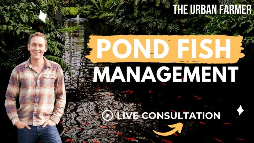 Pond Fish Management - Open Consult Q&A [ LISTEN IN ]