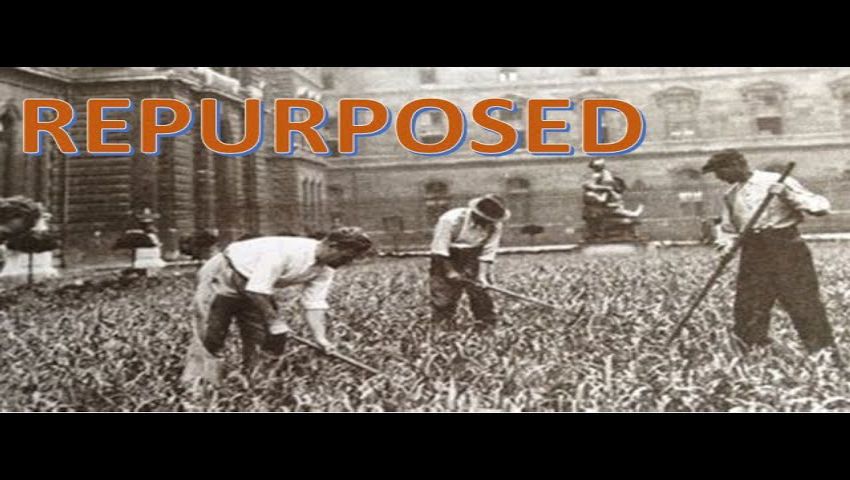 Crop Yield Decline Numbers for 2022 and How to Prepare (Denis Delaurier 3/5)