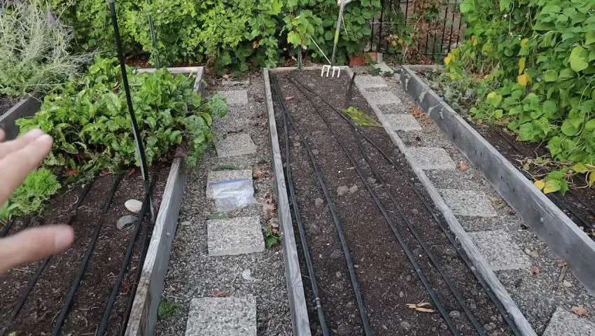 My last video from the urban homestead and why my garden is such a mess