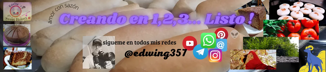 banner todas mis redes.png