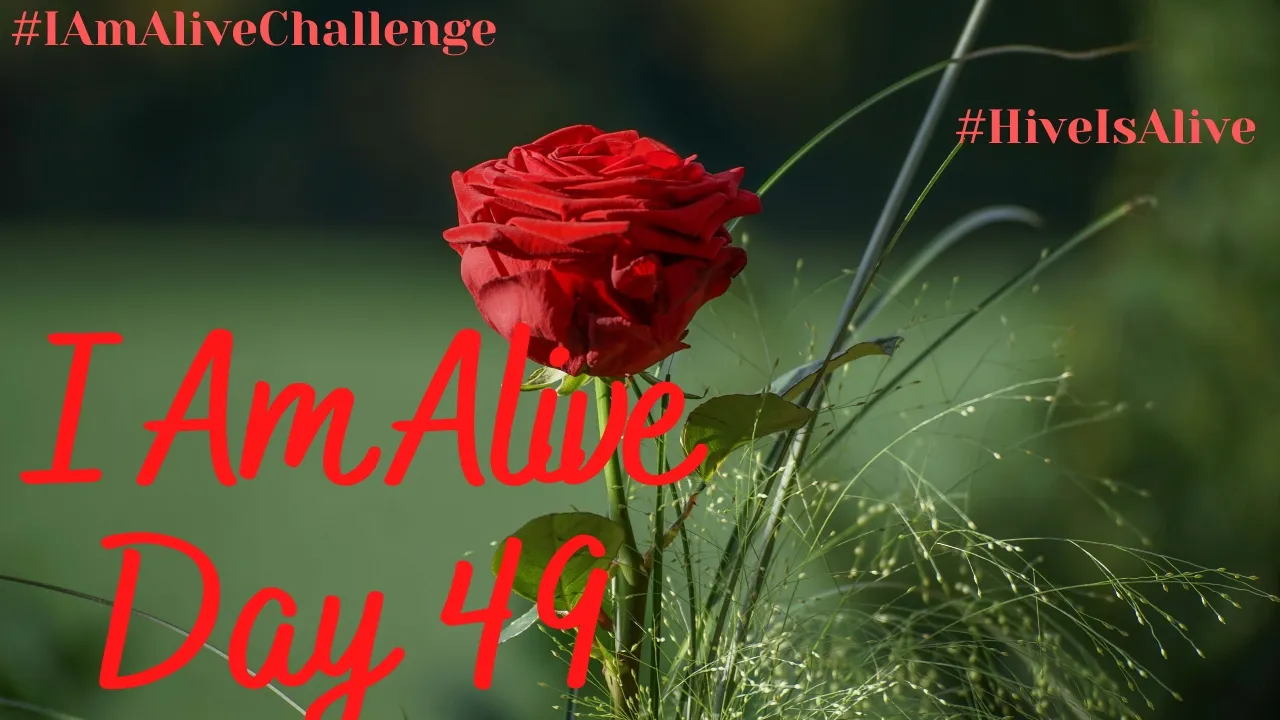 I Am Alive Day 49.jpg