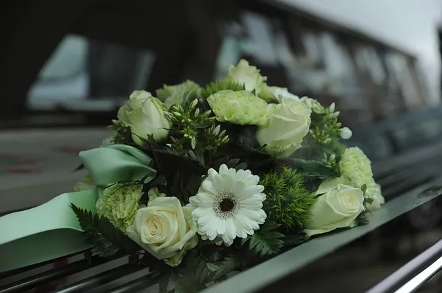 flowers4839339_640.jpg
