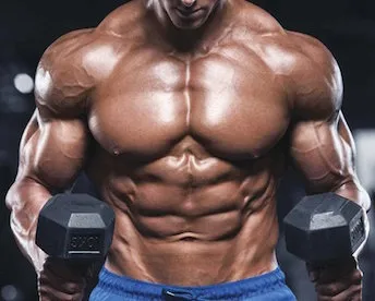 LgVNdik7Bodybuilding.jpg