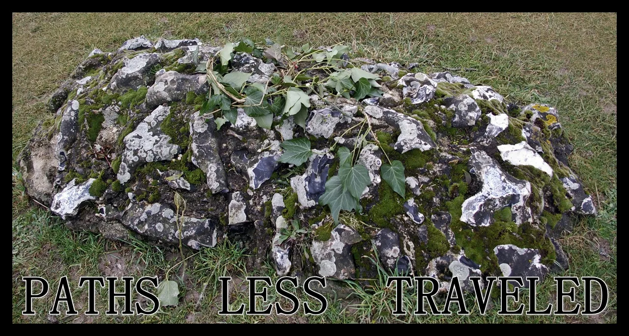 Paths_less_Traveled.JPG