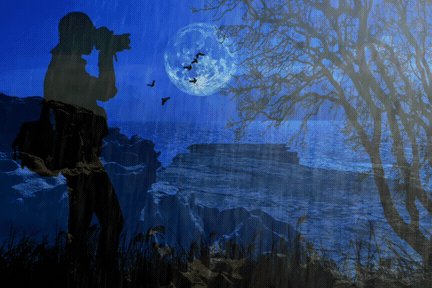 20200802_0330571596313891737.gif