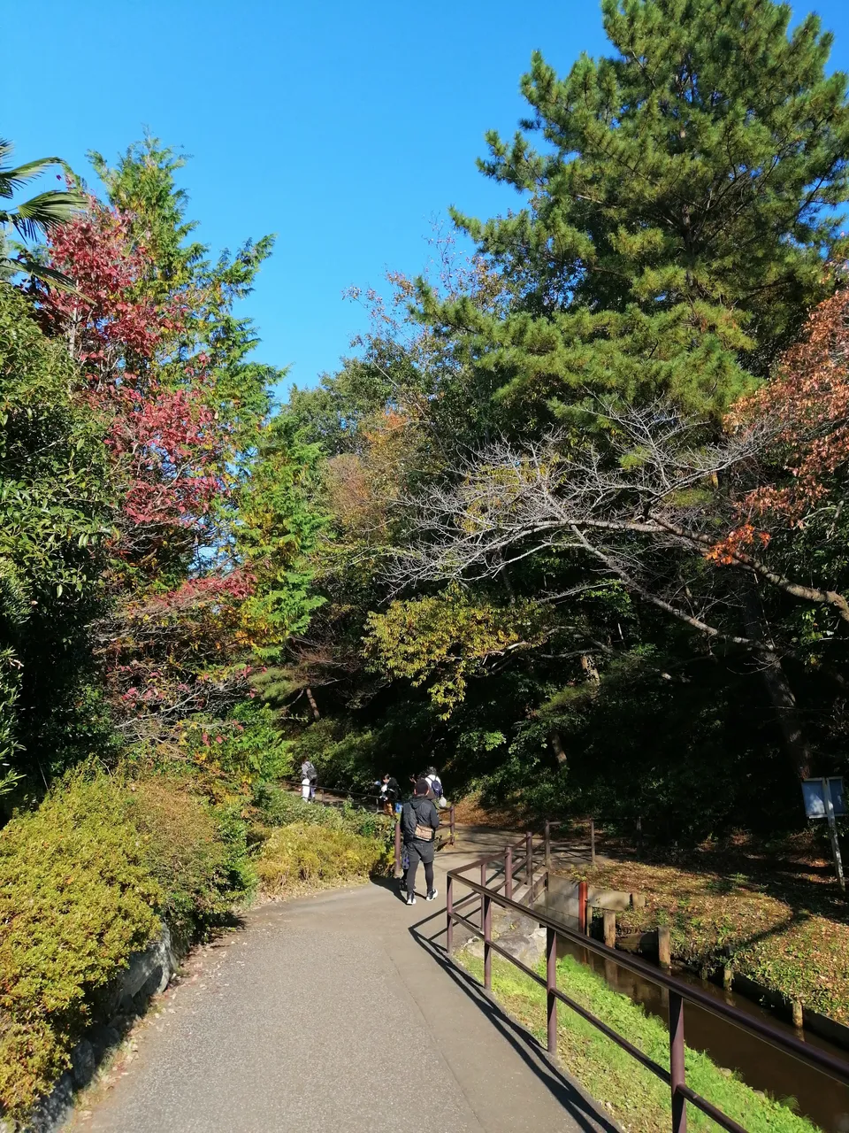 IMG_20191110_133800.jpg