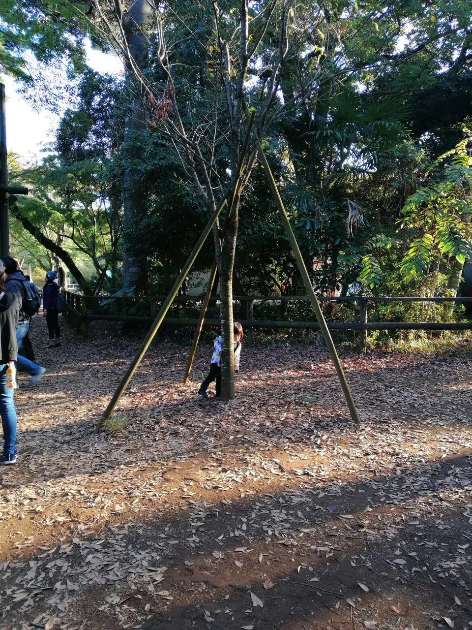 IMG_20191110_151724.jpg