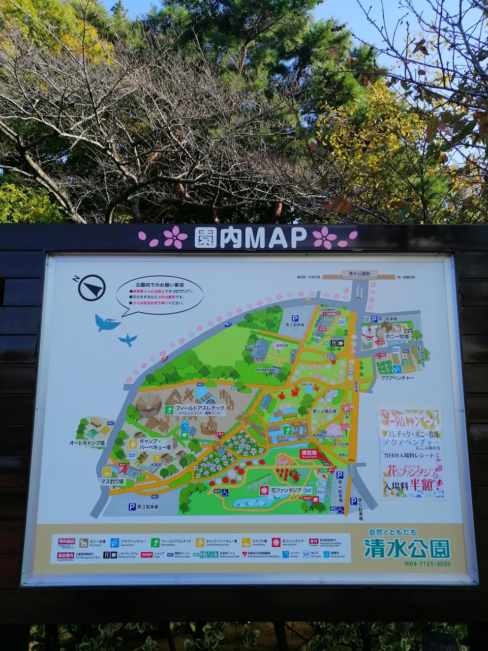 IMG_20191110_133650.jpg
