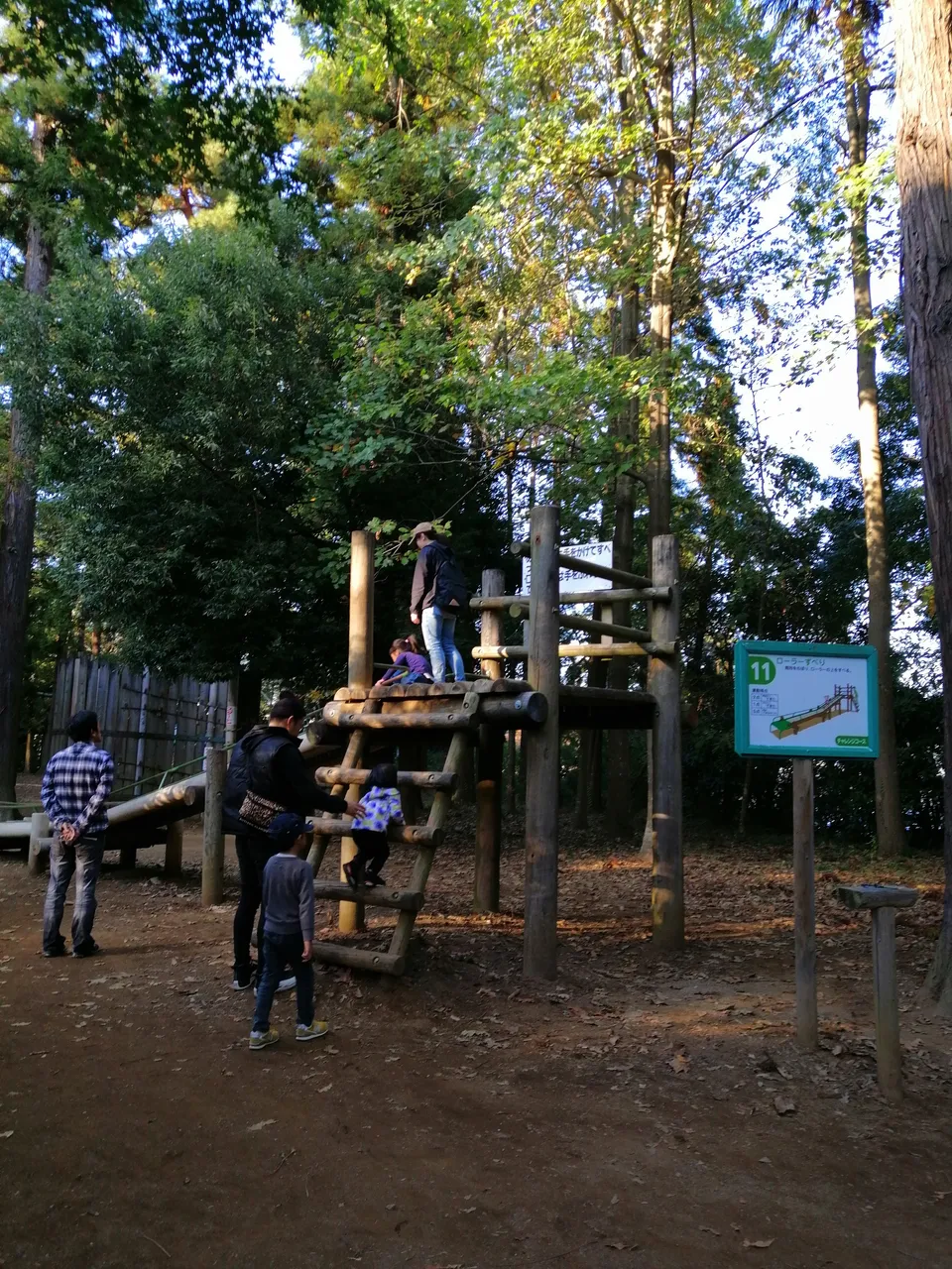 IMG_20191110_145517.jpg
