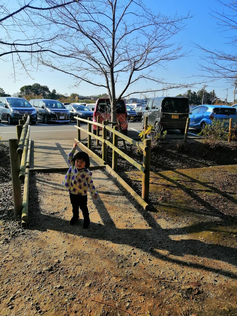 IMG_20191110_135857.jpg