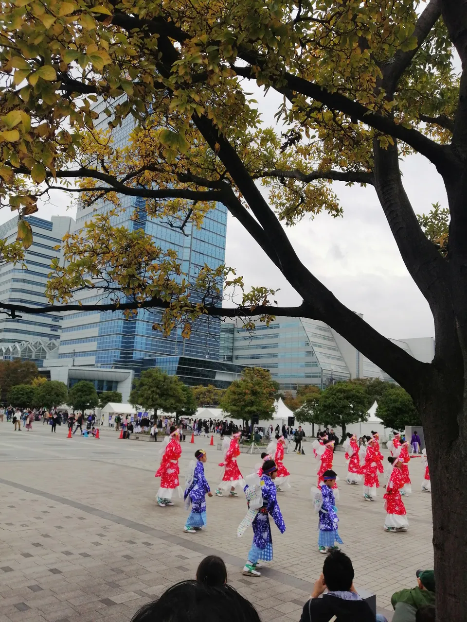 IMG_20191103_134748.jpg