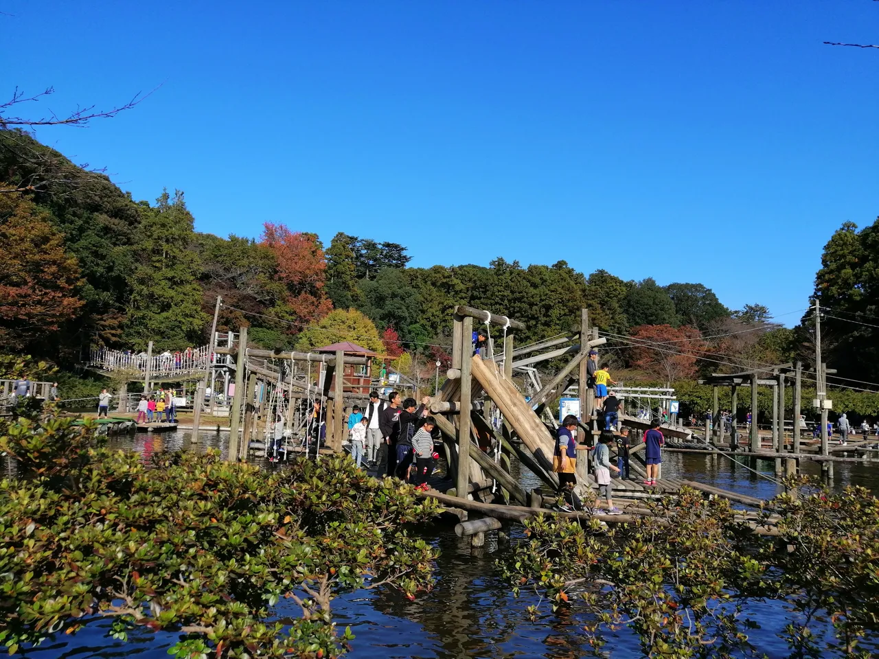 IMG_20191110_134256.jpg
