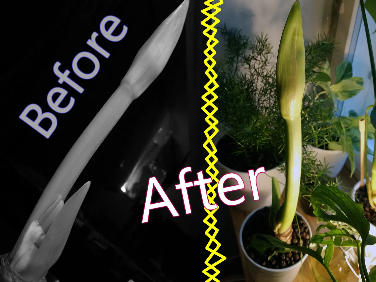 IMG_20191125_beafter.jpg