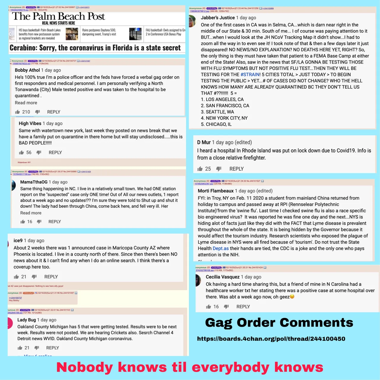 kungflugagorders.jpg