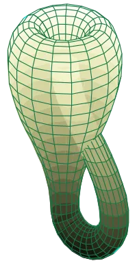 200pxKlein_bottle.svg.png