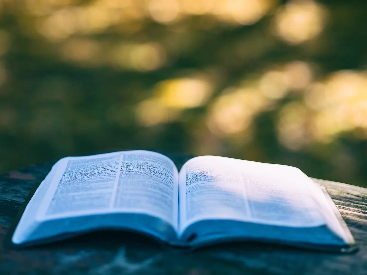 https://pixabay.com/photos/book-pages-open-book-read-reading-1868068/