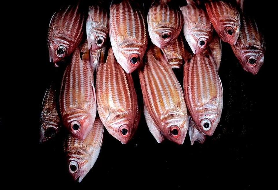 fishing_32.jpg