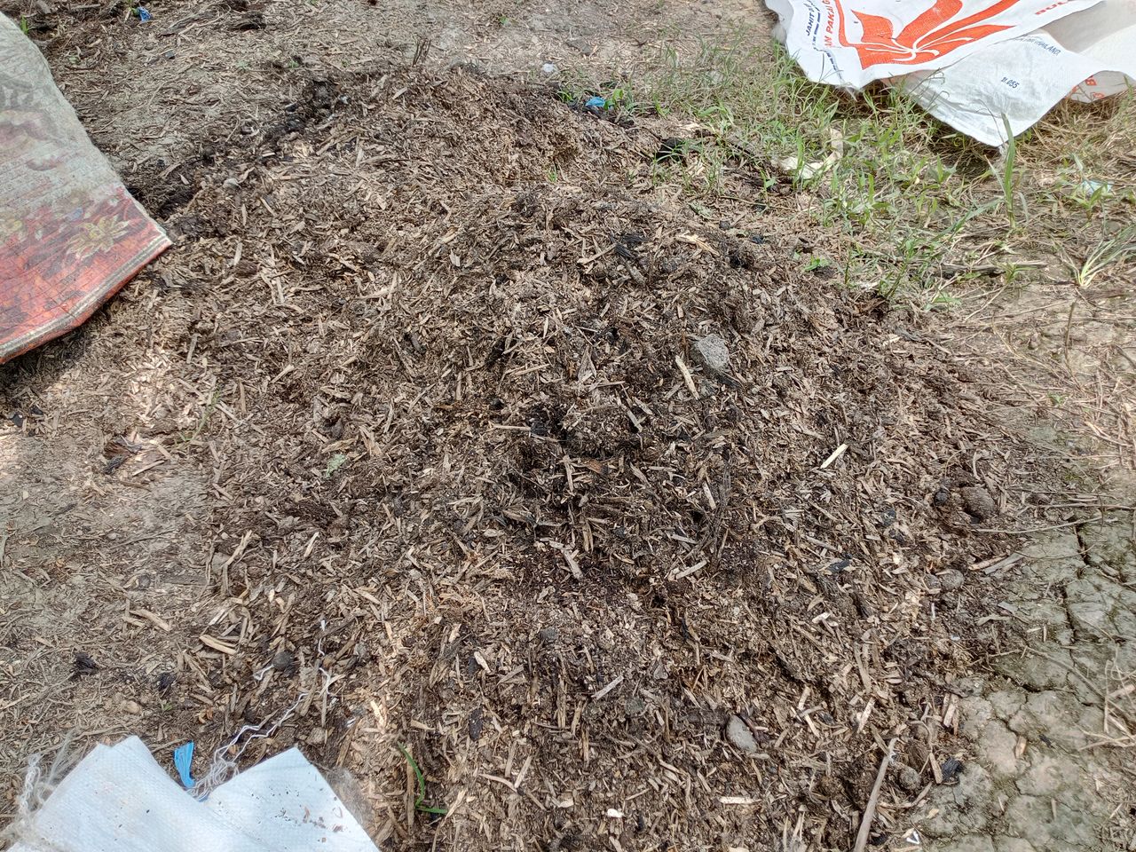 photo of organic fertilizer after composting.