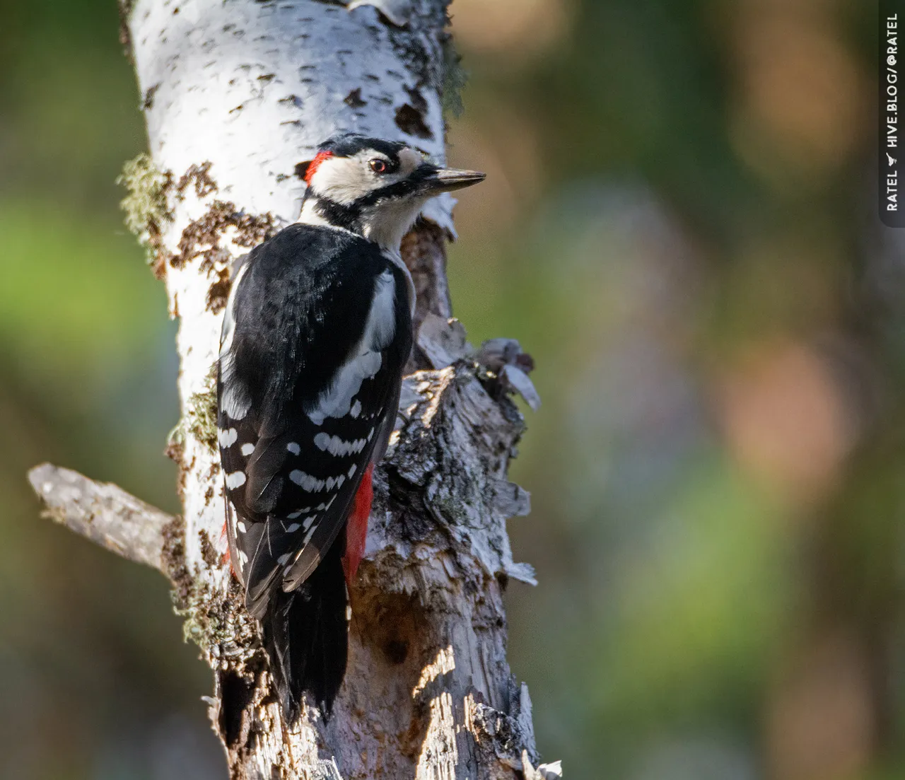 dsc_7578_1.jpg
