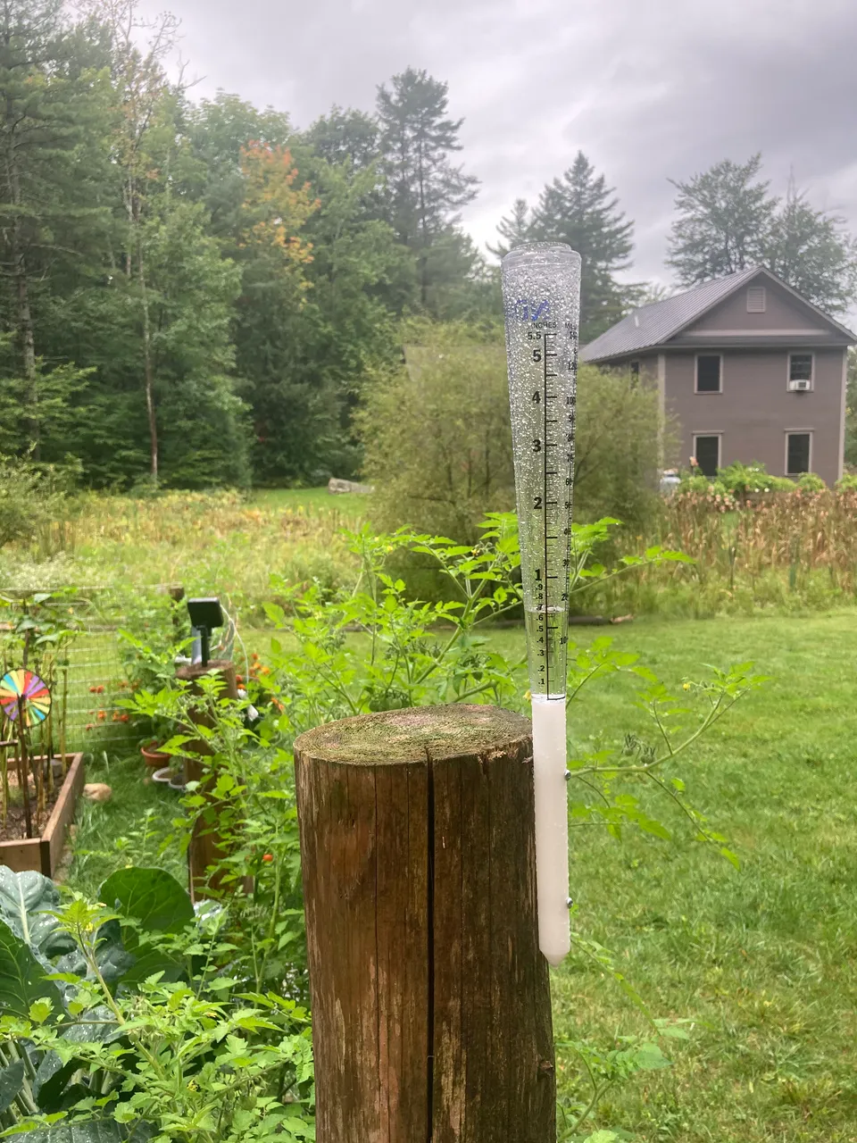 Rain Gauge