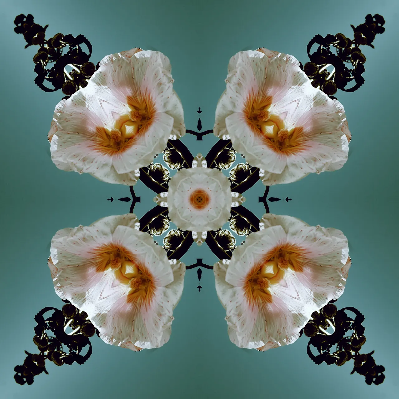flowerpower.jpg