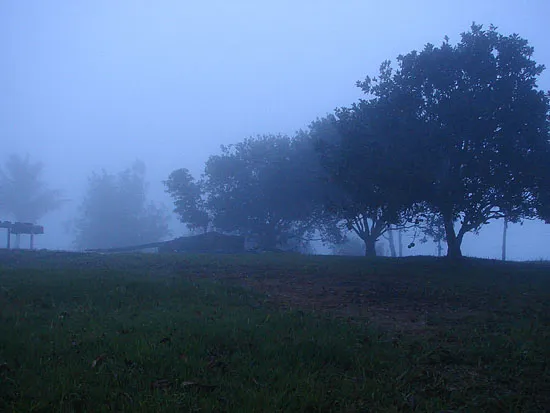 imagen4-550.jpg