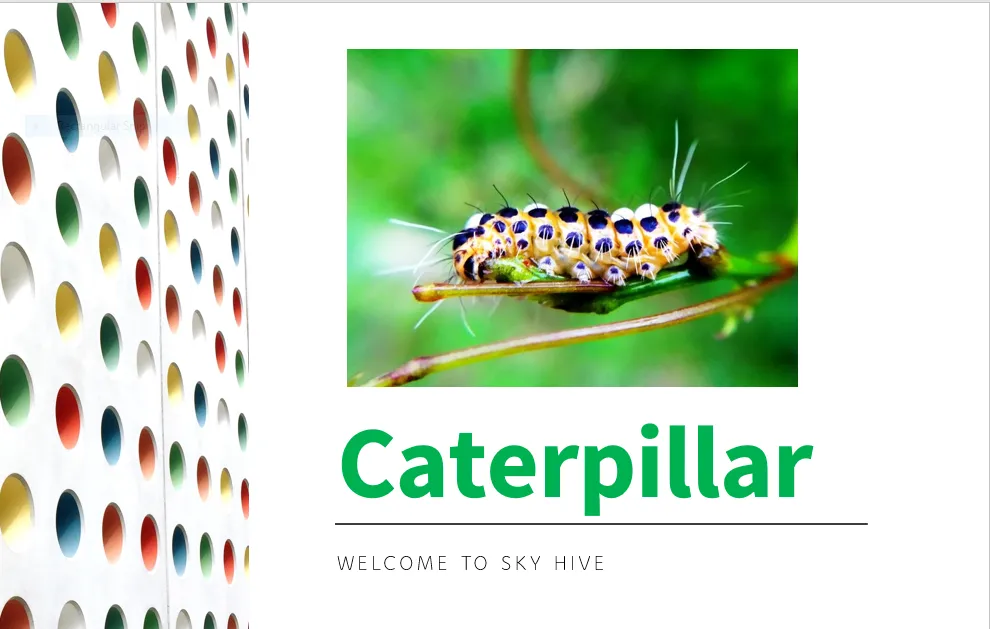 caterpillar.PNG