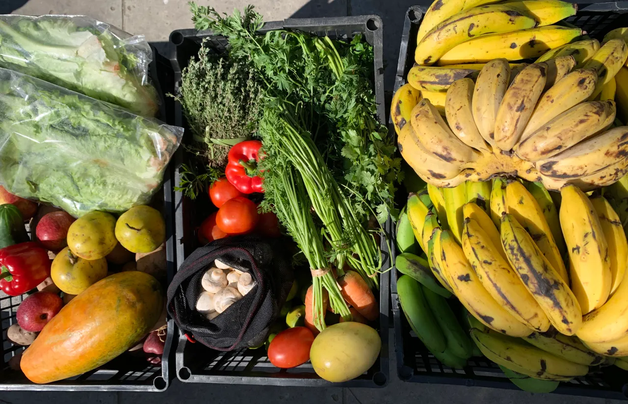 Food Haul.jpg