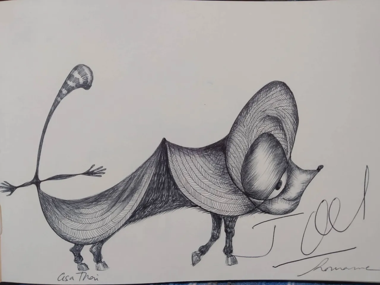 dibujo464BB.jpg