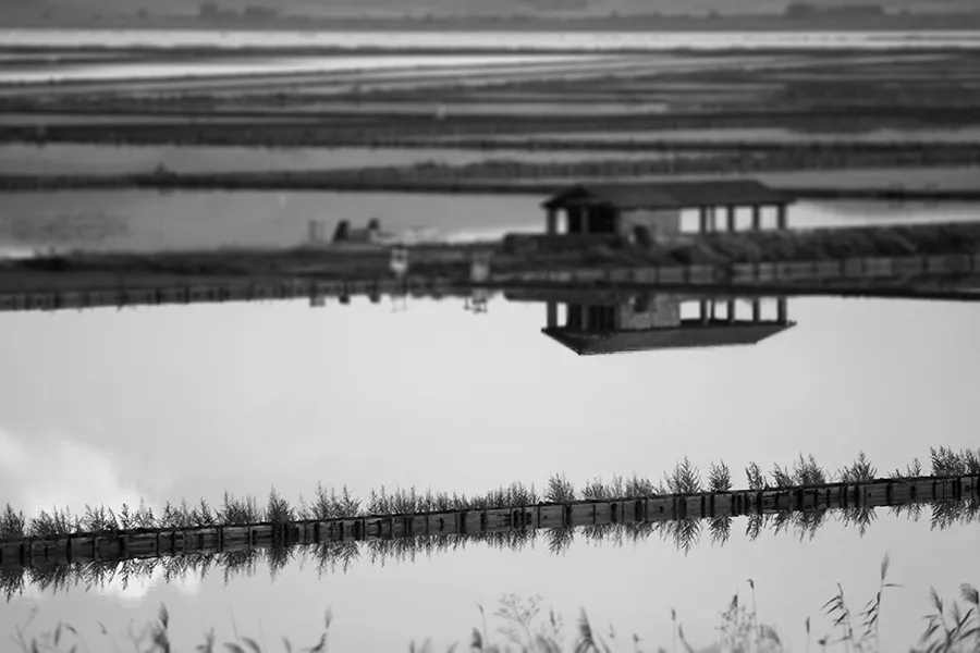 Saltpans_BW.jpg